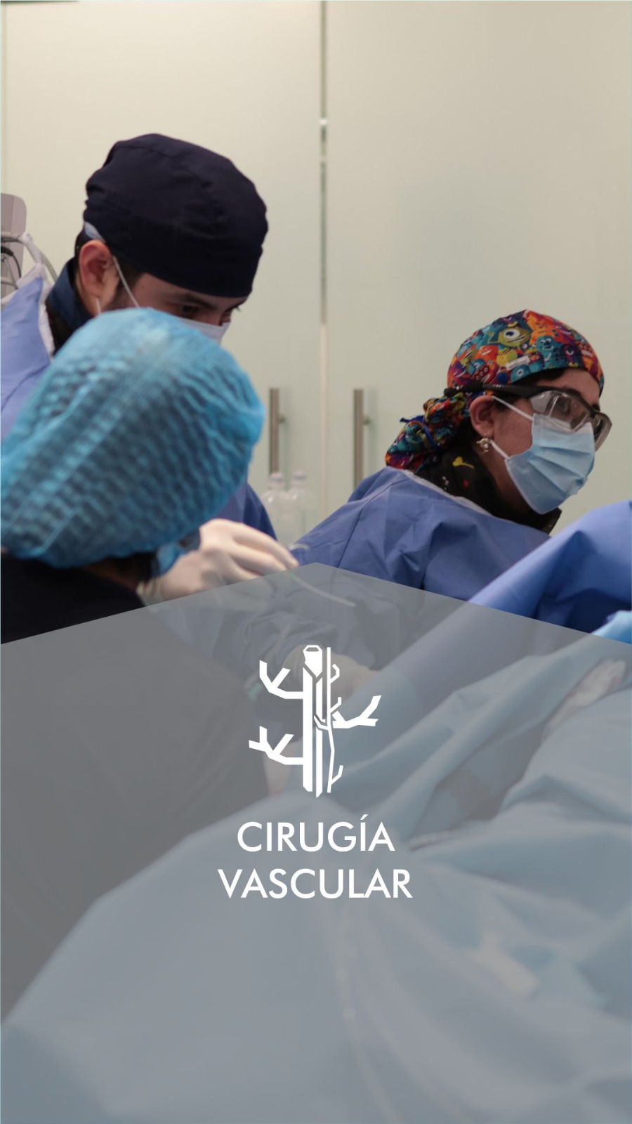 Cirugía Vascular